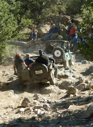 Illustration for article titled There's Nothing Cooler Than Flat-Fender Jeeps Offroading
